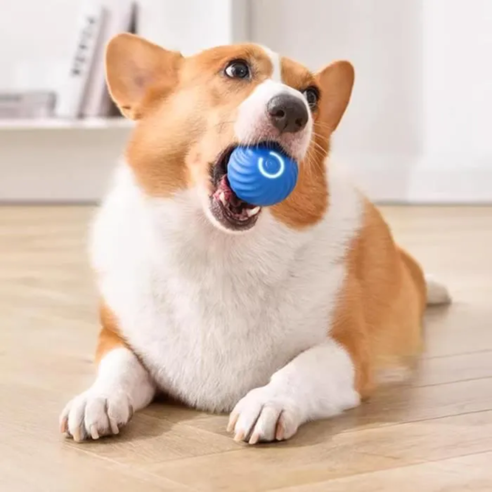 TrainingBall