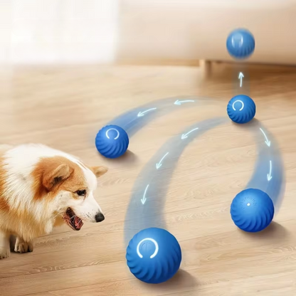 TrainingBall