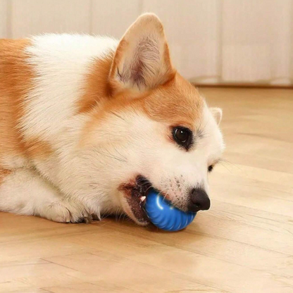 TrainingBall