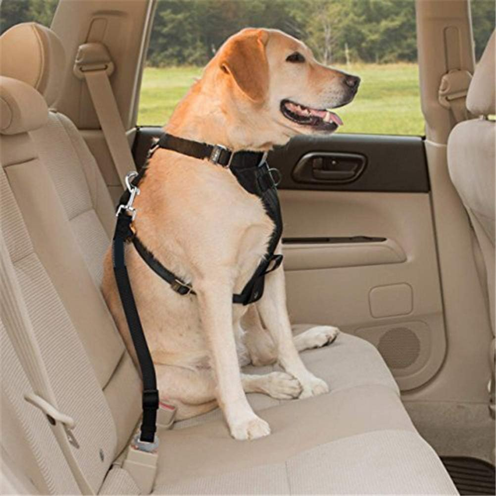 FidoFix